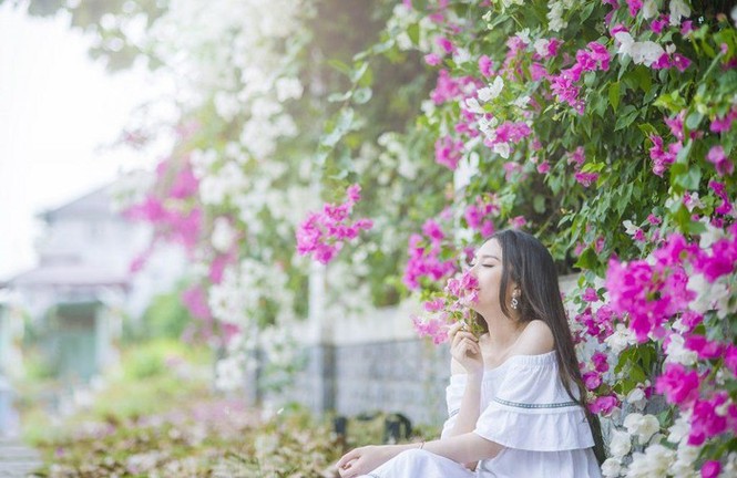 Kèn hồng và những mùa hoa rực rỡ ở TP.HCM - ảnh 8