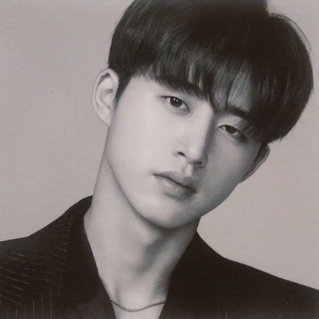 Lee Young Ae, Park Seo Joon và loạt sao Hàn quyên tiền tỷ chống dịch Covid-19 - ảnh 4