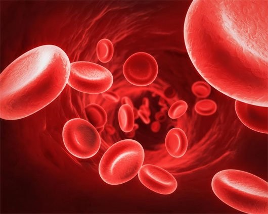 Nhóm máu nào hiếm nhất thế giới?