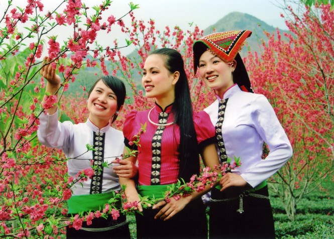 Dân tộc nào có dân số đông thứ hai trong cộng đồng dân tộc thiểu số Việt Nam?