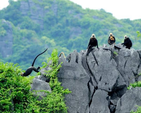 Vườn quốc gia Cát Bà đã được UNESCO công nhận là khu dự trữ sinh quyển thế giới vào năm nào?