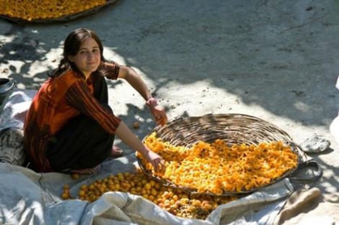Bí quyết sống thọ của người Hunzas là họ thường uống nước ép hoa quả nào?
