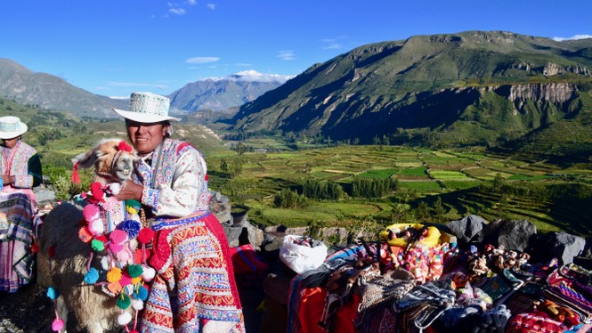 Nền quốc kỳ Peru gồm hai màu chủ đạo nào?