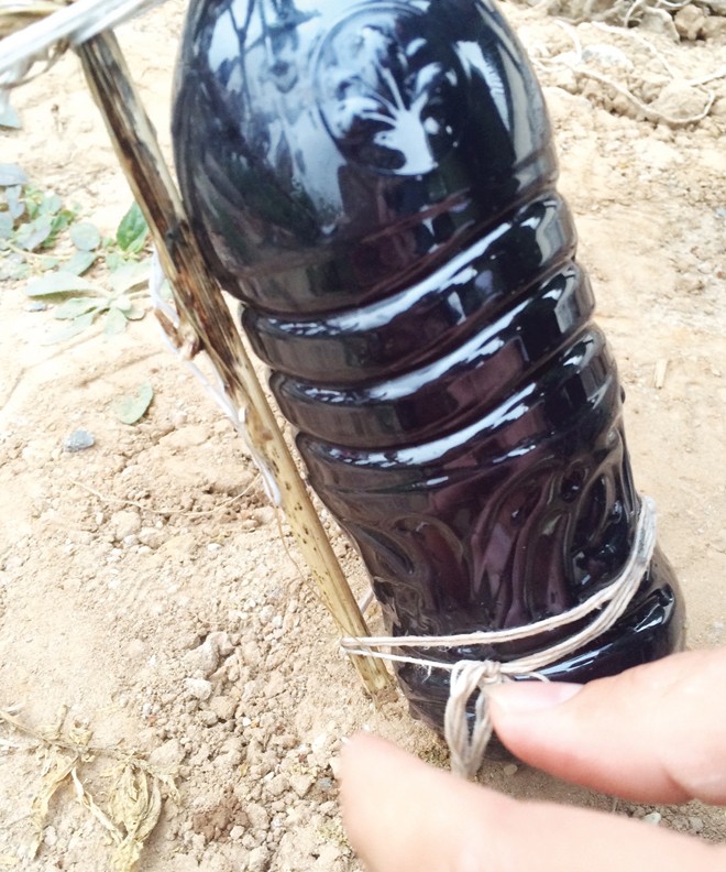 Vụ doanh nghiệp Trung Quốc xả thải trộm: Tổng cục Môi trường vào cuộc - ảnh 1