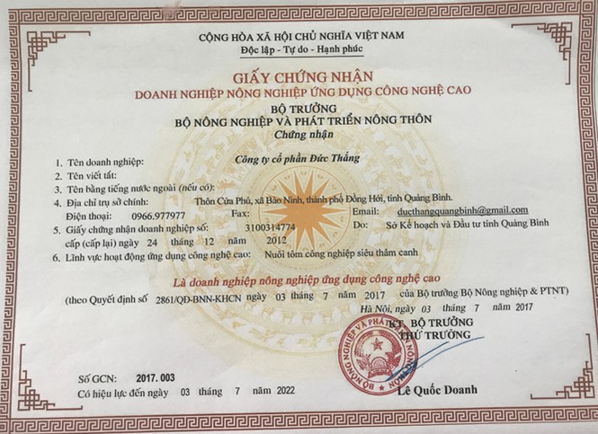 Không vay được vốn, DN nuôi tôm sạch kêu cứu - ảnh 1