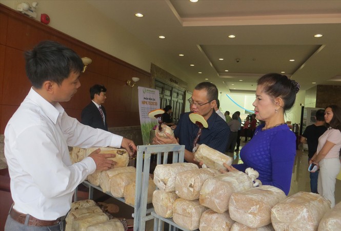 Làm nông đâu chỉ dựa vào công nghệ cao - ảnh 1