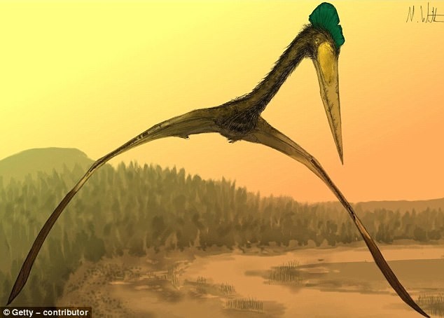 Phát hiện dấu tích loài khủng long biết bay khổng lồ chuyên ăn thịt đồng loại - ảnh 1