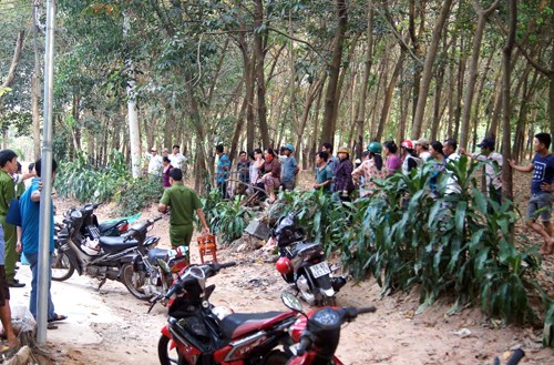 Người đàn ông tử vong vì bị ong đốt hơn 100 mũi - ảnh 1