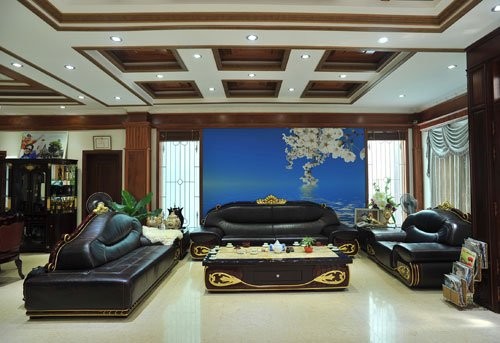 dinh thự của trang nhung - ảnh 4