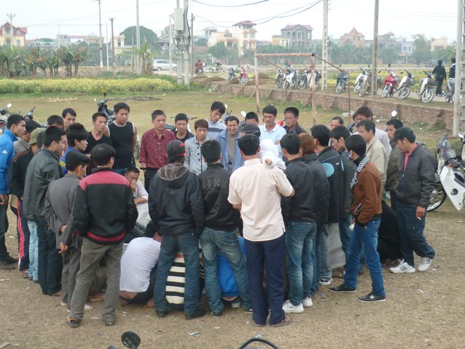 Đầu xuân xem ‘hội chọi gà’ - ảnh 7