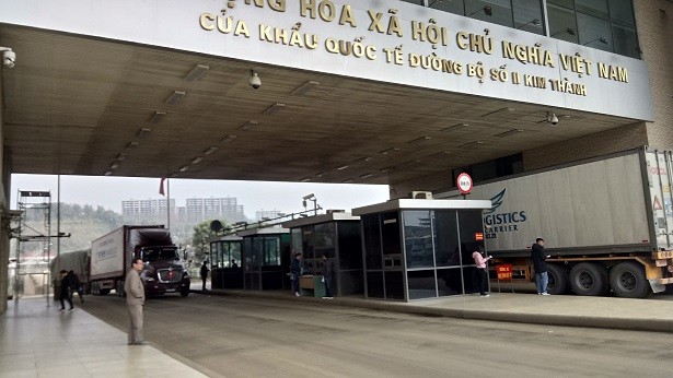 Cận Tết, thanh long Việt ùn ùn xuất ngoại - ảnh 1