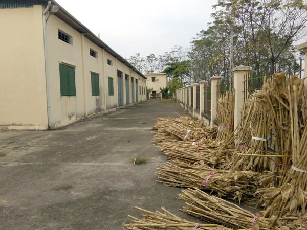 Cận cảnh công trình tiền tỷ bỏ hoang ở xã nghèo - ảnh 3