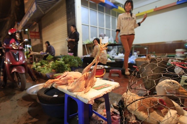 Méo mặt tìm quán cơm sau tết - ảnh 1