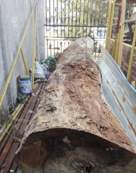 Lừa bán khúc gỗ giá... 5,5 tỉ đồng - ảnh 1