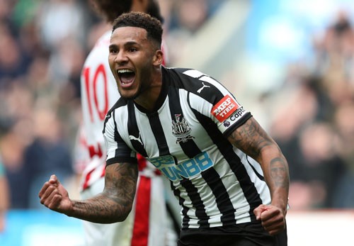 Cầu thủ Newcastle gãy tay vì ngăn đồng đội loạn đả - ảnh 2