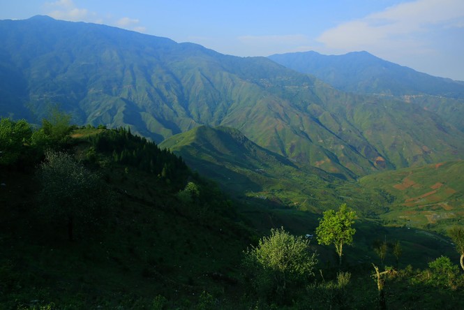 Săn mây trên 'lưng khủng long' Tà Xùa - ảnh 1