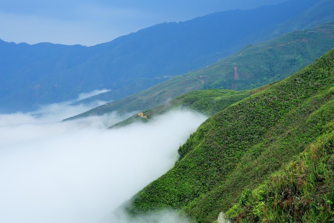 Săn mây trên 'lưng khủng long' Tà Xùa - ảnh 8