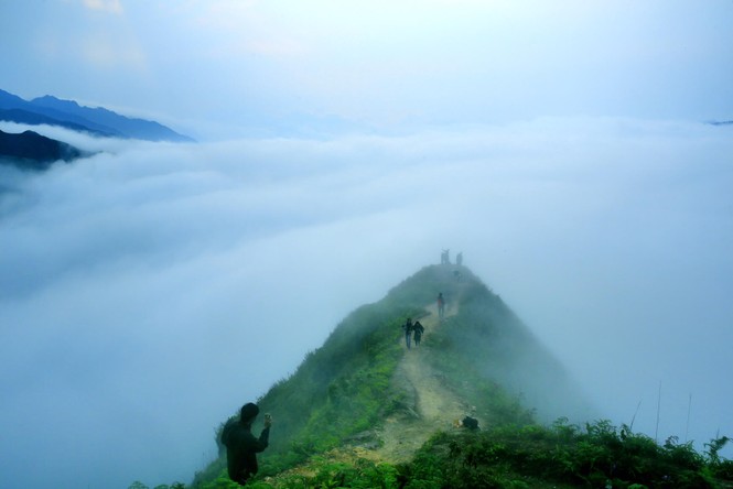 Săn mây trên 'lưng khủng long' Tà Xùa - ảnh 9