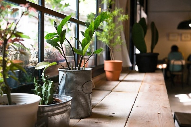 Đón năm mới đầy năng lượng bằng vật dụng dễ làm trong nhà - ảnh 5