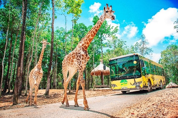 Khám phá “đảo vàng” mùa du lịch MICE tại Vinpearl Nha Trang, Phú Quốc - ảnh 5