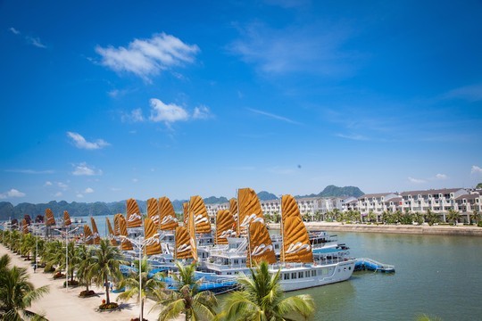 Chiêm ngưỡng những du thuyền 5* tại Hạ Long - ảnh 2