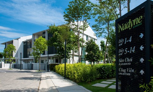 Thiên nhiên Parkcity – Nguồn cảm hứng bất tận của hội họa - ảnh 2