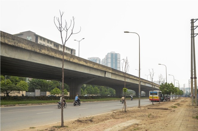Thêm hàng loạt cây xanh trên đường Hà Nội trụi lá, chết khô - ảnh 3