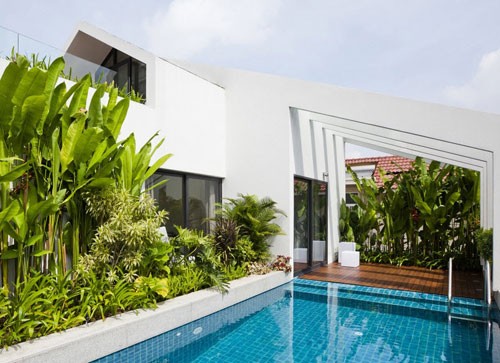 Bể bơi trên nóc nhà 3 tầng của nhà giàu Sài Gòn - ảnh 1