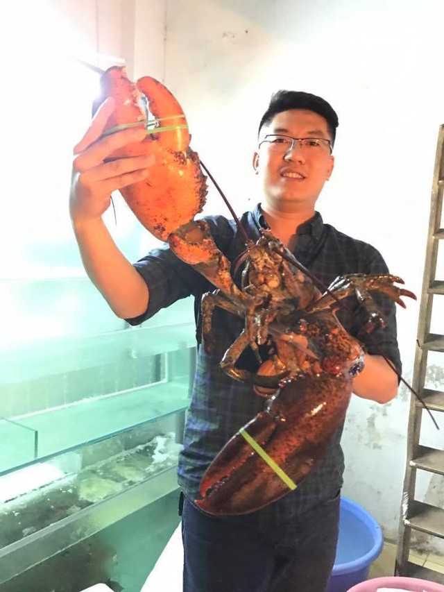 Người Hà Thành “săn” tôm khổng lồ nặng 5-6kg - ảnh 1
