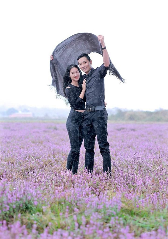 Cánh đồng hoa tím quyến rũ bên sông Krông Ana - ảnh 1