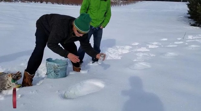 Chuyên gia nói gì về loạt dấu chân khổng lồ nghi của quái vật Bigfoot - ảnh 1