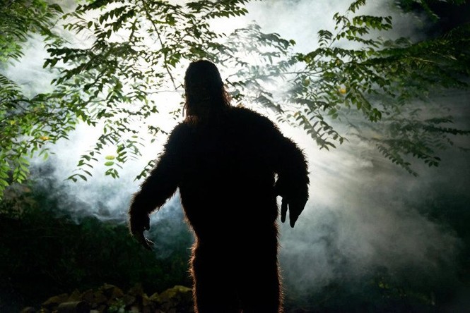 Chuyên gia nói gì về loạt dấu chân khổng lồ nghi của quái vật Bigfoot - ảnh 2