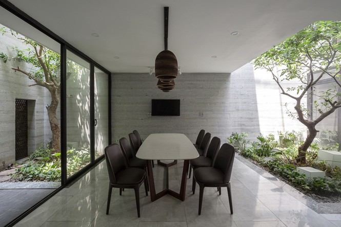 biệt thự xanh mướt ở Hà Nội - ảnh 7