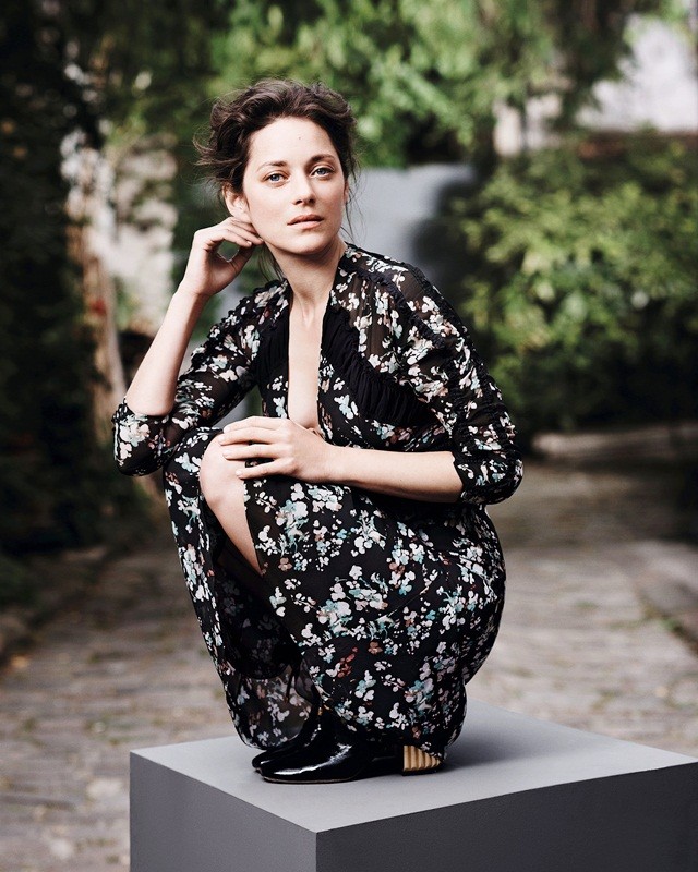 Marion Cotillard, Guillaume Canet, Brad Pitt, Angelina Jolie - ảnh 4