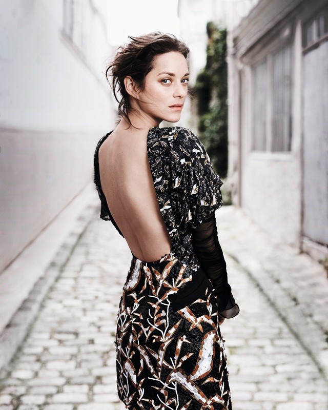 Marion Cotillard, Guillaume Canet, Brad Pitt, Angelina Jolie - ảnh 1