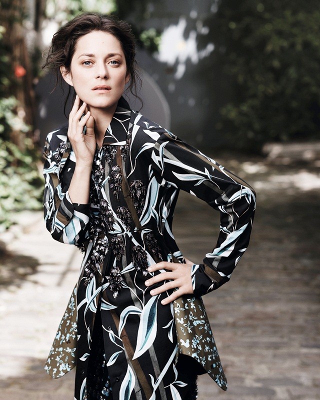 Marion Cotillard, Guillaume Canet, Brad Pitt, Angelina Jolie - ảnh 2