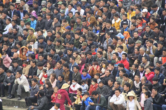 Nảy lửa những cú 'hổ lao' ở chọi trâu Hải Lựu - ảnh 11