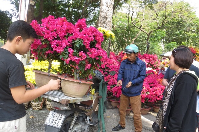 Lo bị 'ép rác', hoa tết xả hàng sớm ở Sài Gòn - ảnh 1