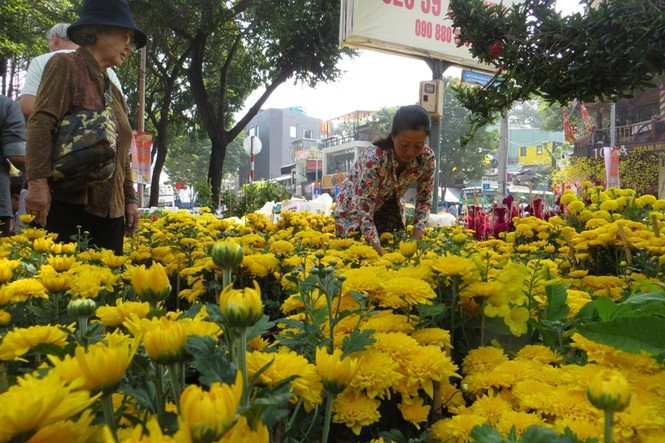 Lo bị 'ép rác', hoa tết xả hàng sớm ở Sài Gòn - ảnh 10