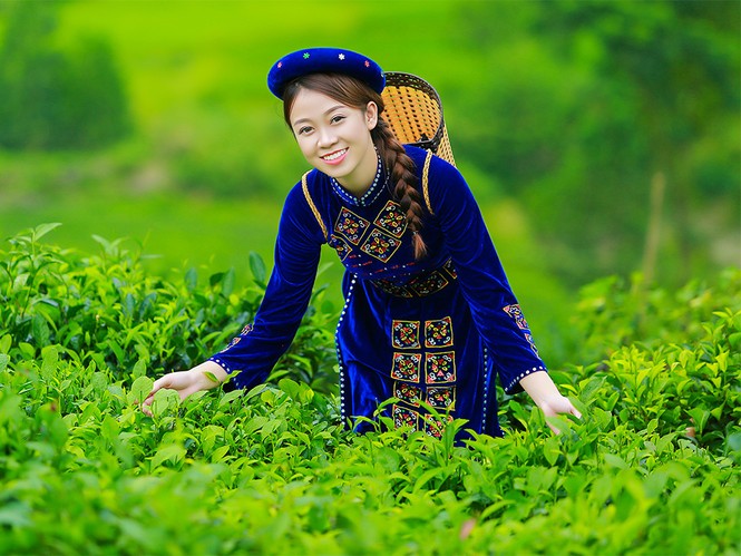 Thí sinh iMiss Thăng Long rạng rỡ sắc áo dân tộc bên đồi chè - ảnh 6