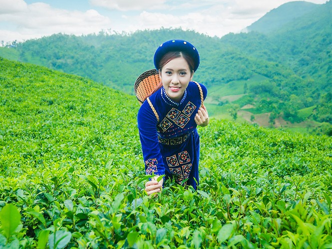 Thí sinh iMiss Thăng Long rạng rỡ sắc áo dân tộc bên đồi chè - ảnh 4