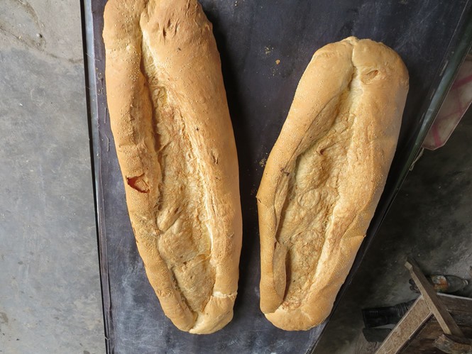 Bánh mì