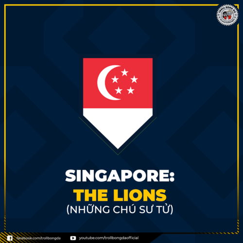 Việt Nam - Đội bóng duy nhất không cần biệt danh ở đấu trường AFF Cup - ảnh 7