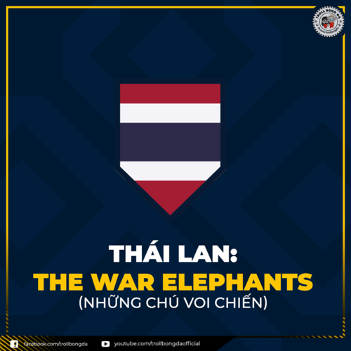 Việt Nam - Đội bóng duy nhất không cần biệt danh ở đấu trường AFF Cup - ảnh 10