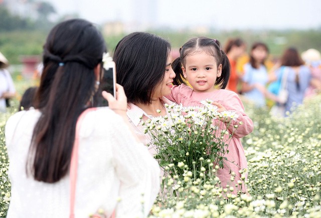 Giới trẻ Hà Nội chen nhau chụp ảnh cúc họa mi vào dịp cuối tuần - ảnh 7