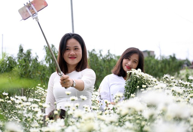 Giới trẻ Hà Nội chen nhau chụp ảnh cúc họa mi vào dịp cuối tuần - ảnh 9