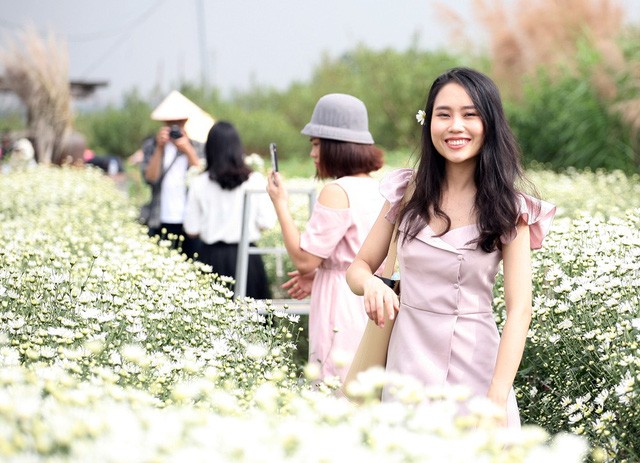 Giới trẻ Hà Nội chen nhau chụp ảnh cúc họa mi vào dịp cuối tuần - ảnh 11