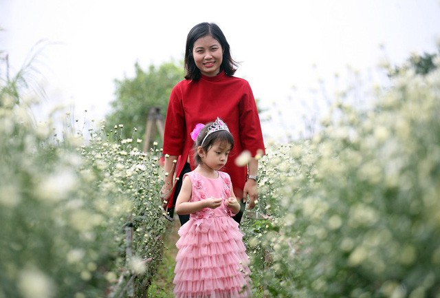 Giới trẻ Hà Nội chen nhau chụp ảnh cúc họa mi vào dịp cuối tuần - ảnh 12