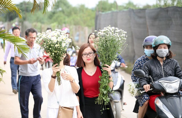 Giới trẻ Hà Nội chen nhau chụp ảnh cúc họa mi vào dịp cuối tuần - ảnh 14