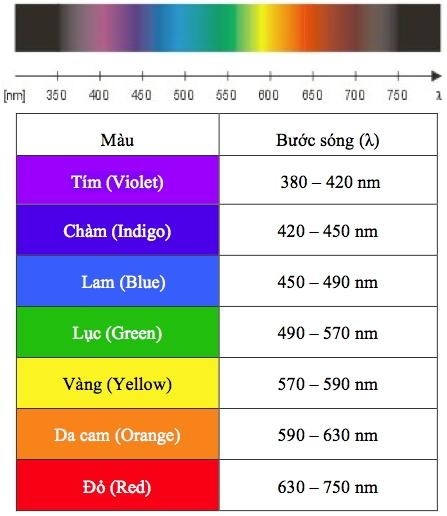 Bạn có biết: Màu sắc cũng có sóng năng lượng khiến tâm trạng phấn chấn hoặc stress hơn - ảnh 2